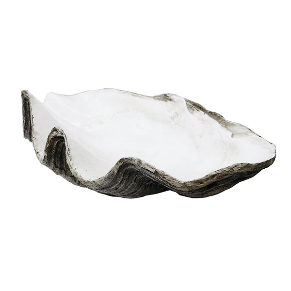 Resin Clam Shell