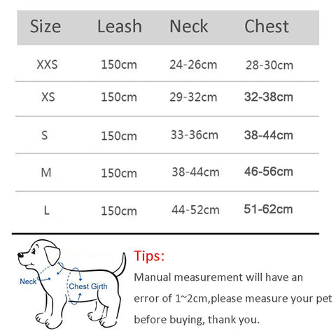 Tough harness for active pup explorers