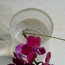 画像をギャラリービューアに読み込む, Henry Dean Flower Vase V.Cylinder 10×13 : BIJOU
