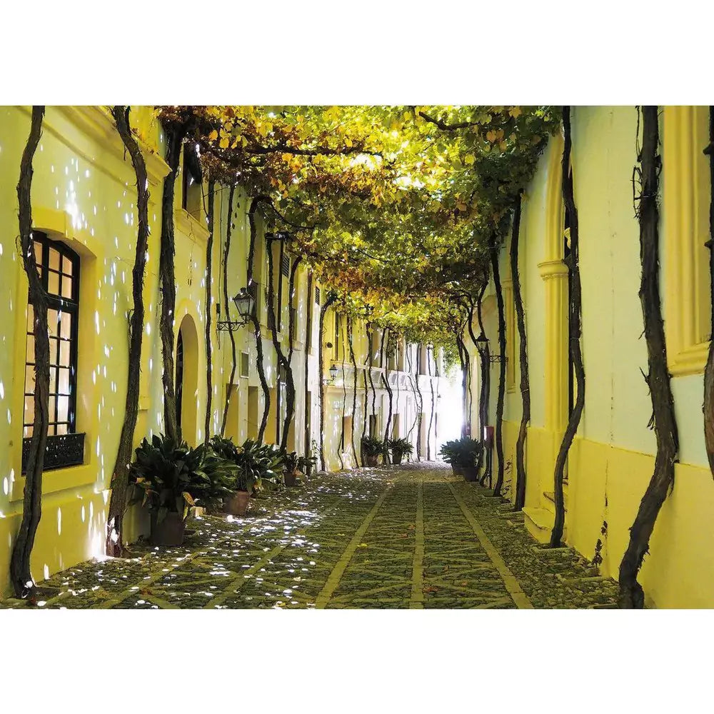 Stradă andaluză 1000 piese Piatnik Puzzle - 1 | YEO