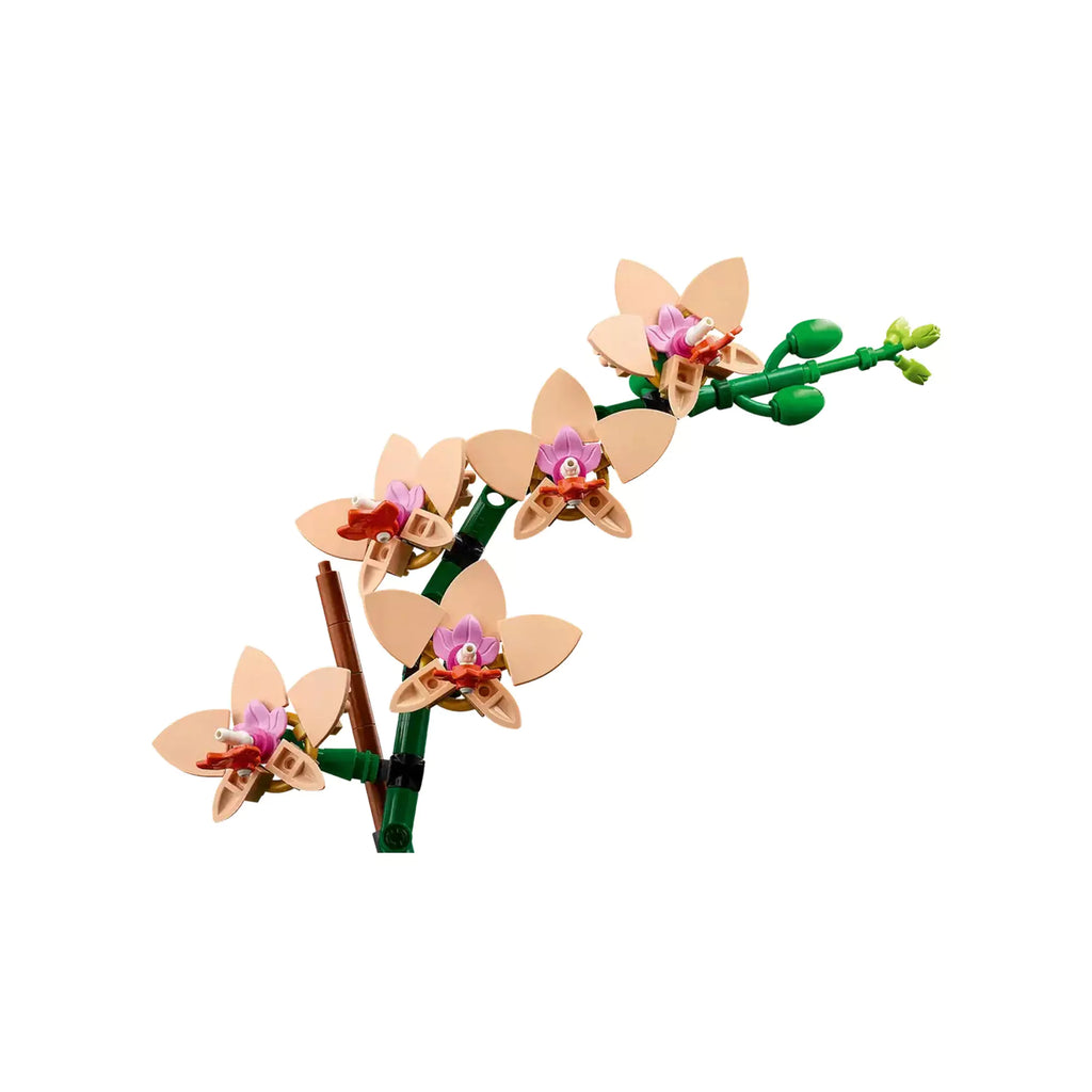 LEGO Colectia Botanica Mini orhidee 10343, 274 piese - 3 | YEO