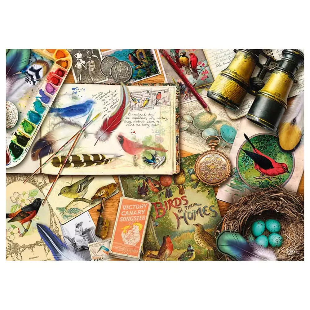 Puzzle Schmidt - Aimee Stewart: Observarea păsărilor, 1000 de piese - 1 | YEO
