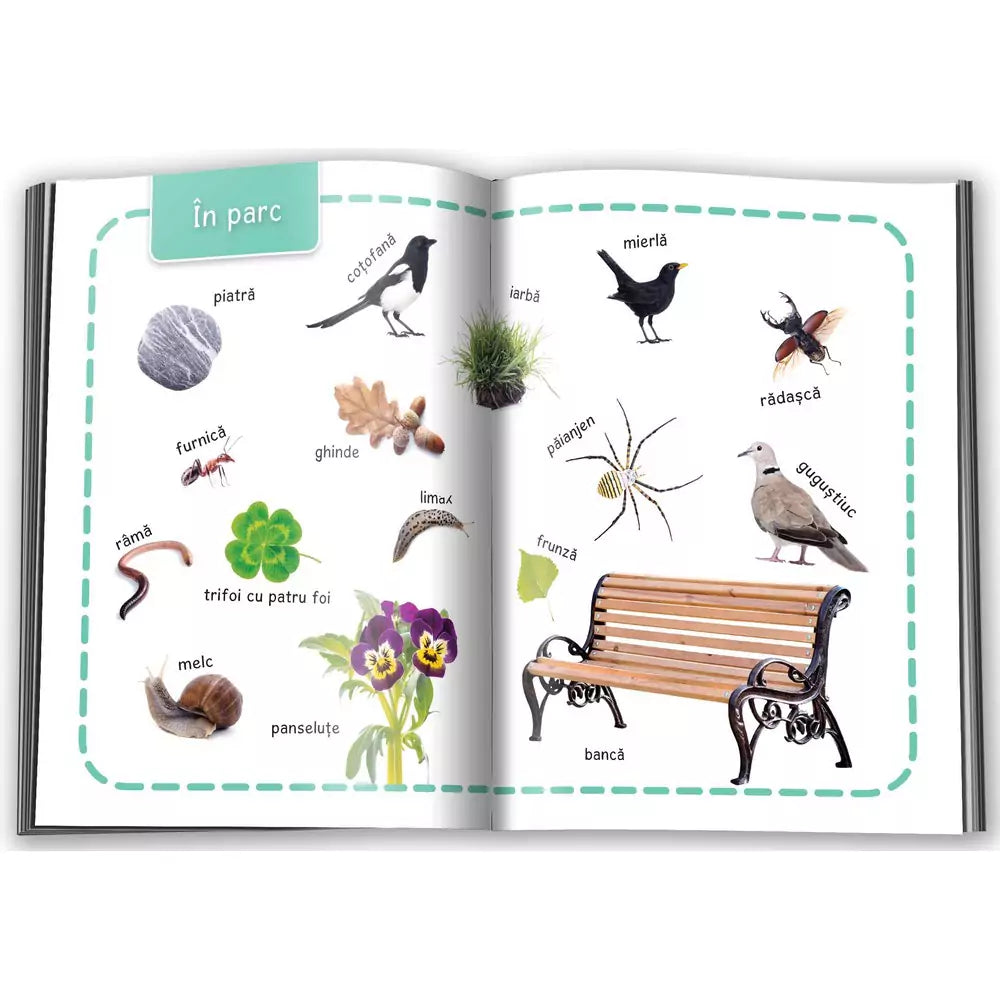 Natura, Învâț 100 de cuvinte - Carte Cartonată - 2 | YEO