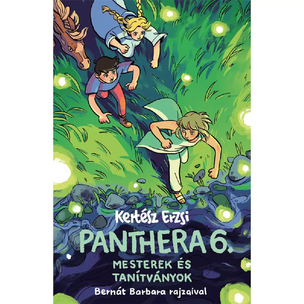 Panthera 6. Mesterek és tanítványok carte în limba maghiară