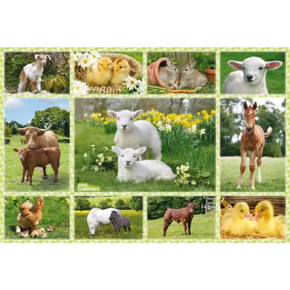 Puzzle Schmidt - Animalele de la fermă, 100 de piese - 1 | YEO