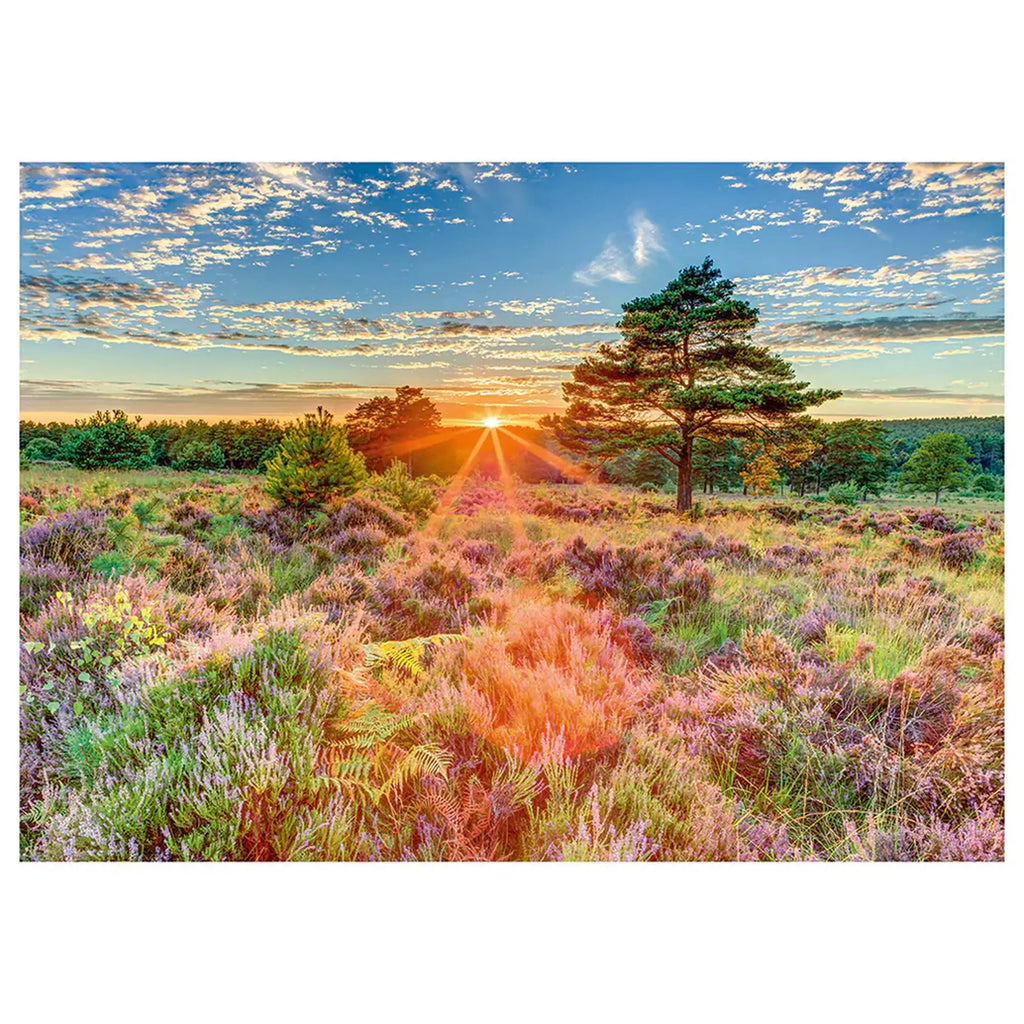 Puzzle Schmidt Apus de soare, 1000 piese - 1 | YEO