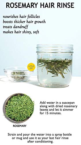 RiTrue - Rosemary Dried Leaves - 90 Gm - For Hair Growth & Rosemary Le –  Watanz.com