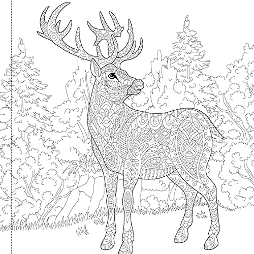 Download Majestic Animals Colouring Books For Adults With Tear Out Sheets Adu Watanz Com