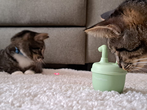 laser cat toy