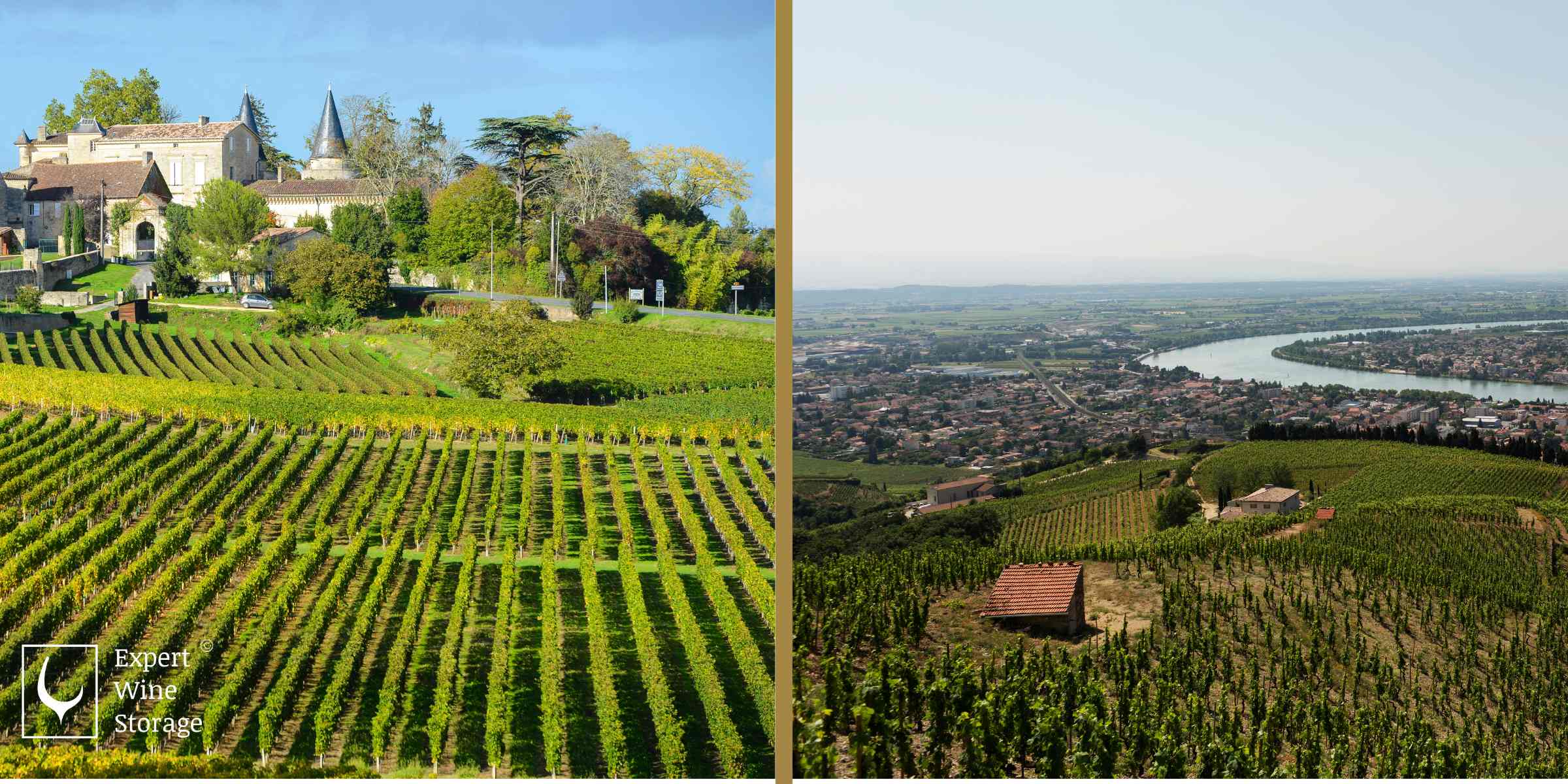 Bordeaux and Rhone Valley