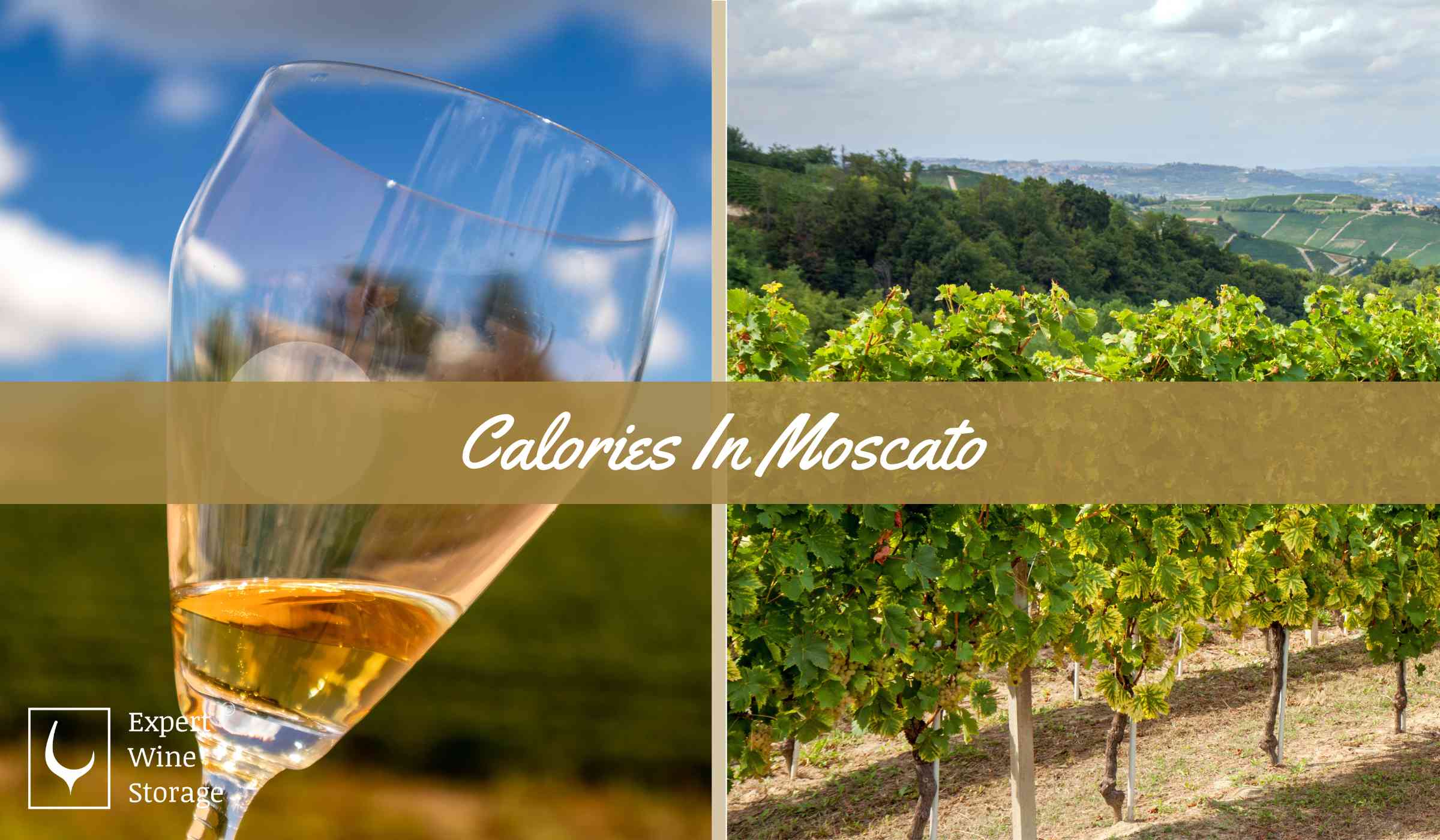 Calories In Moscato