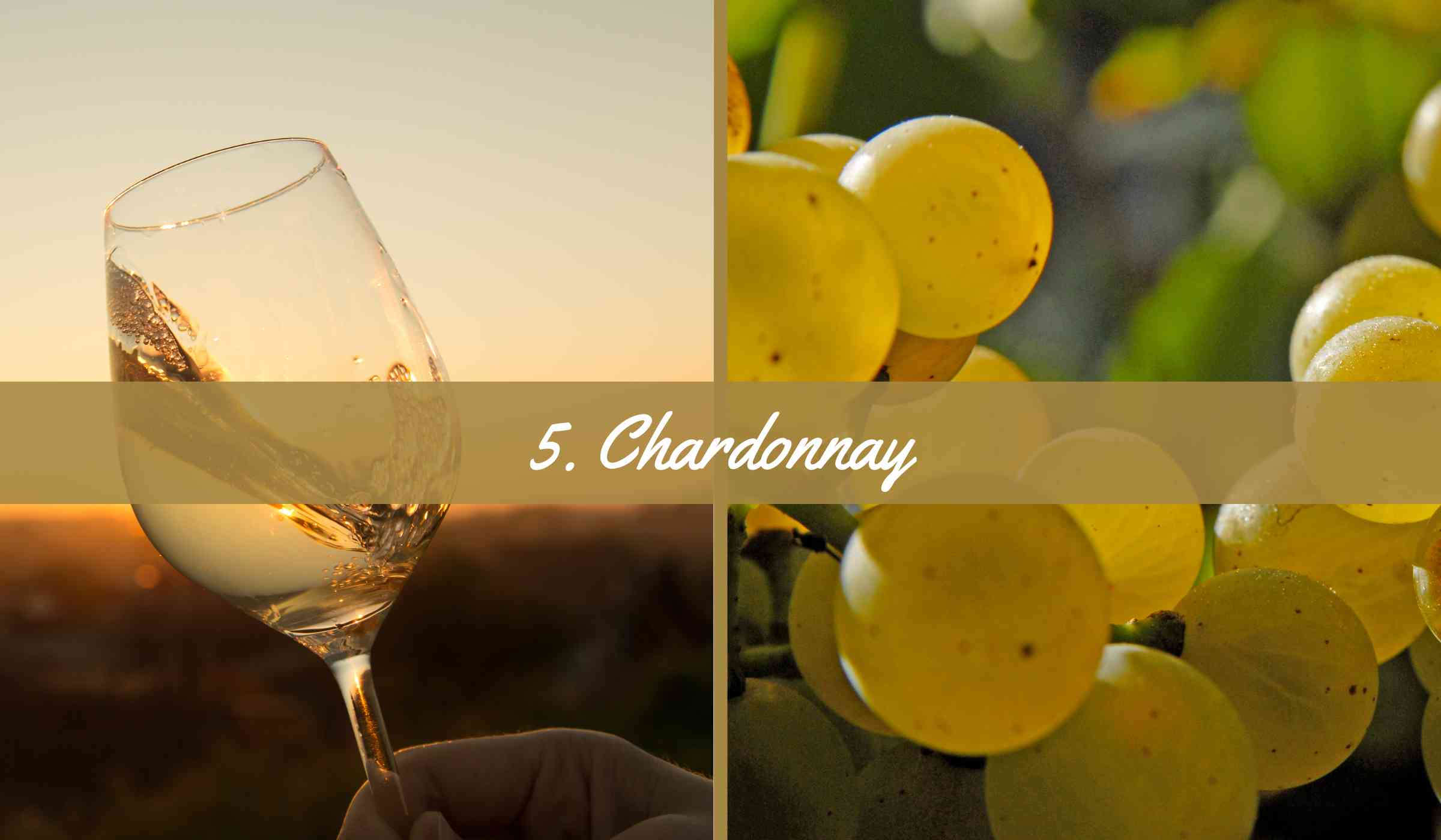 Chardonnay White Wine