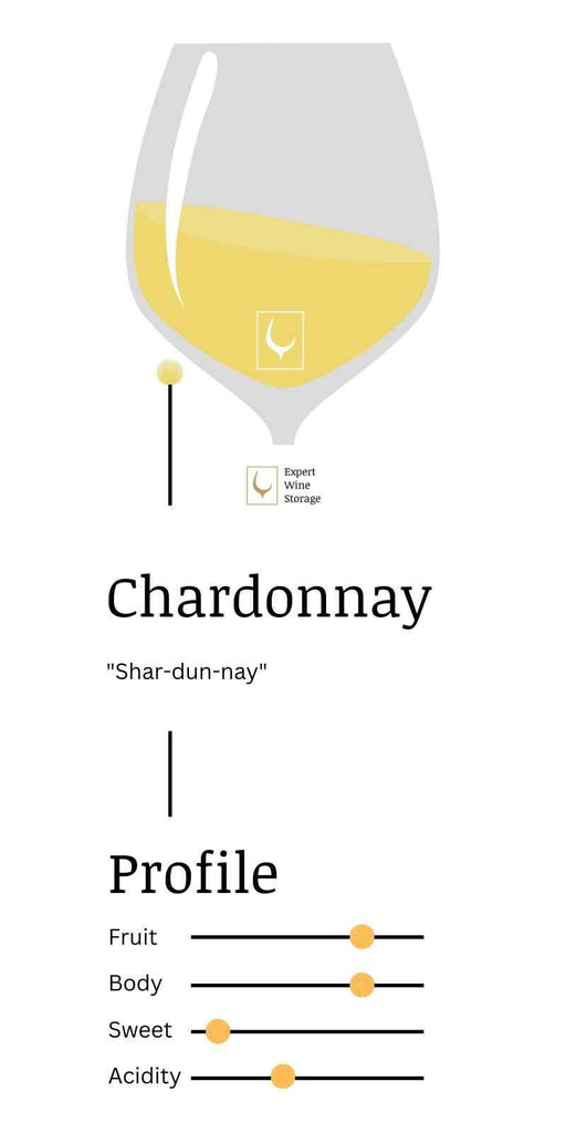  Chardonnay Wine Visual