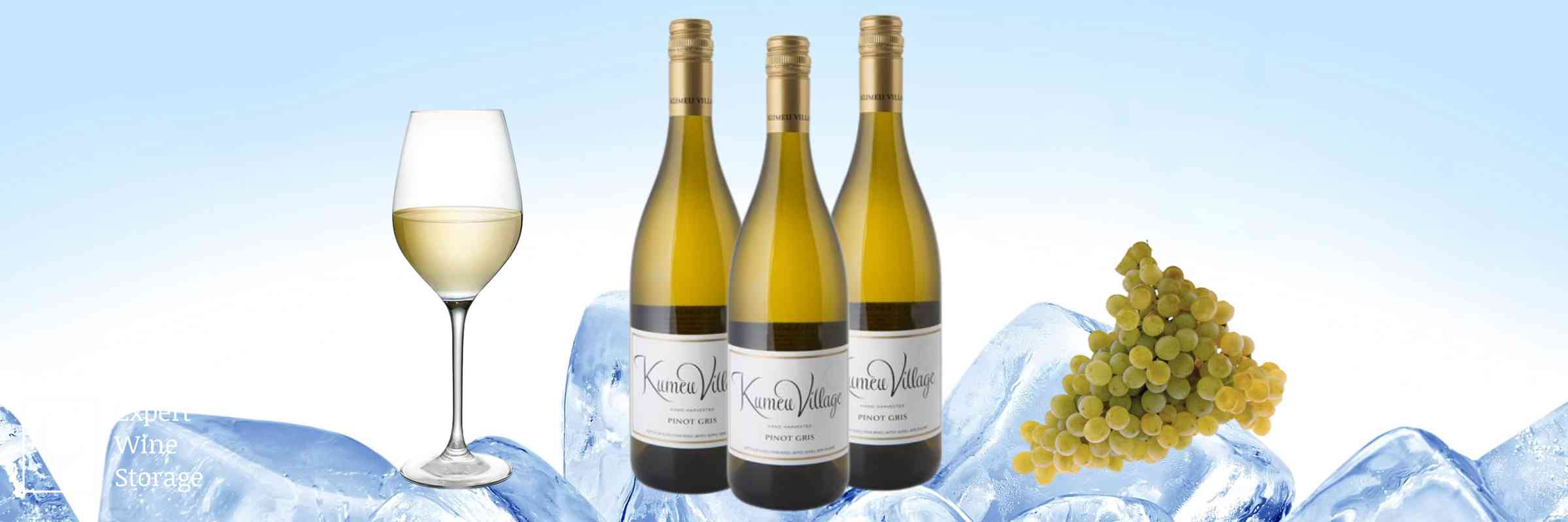 Can You Freeze White Wine? (Can You Put White Wine In The Freezer)