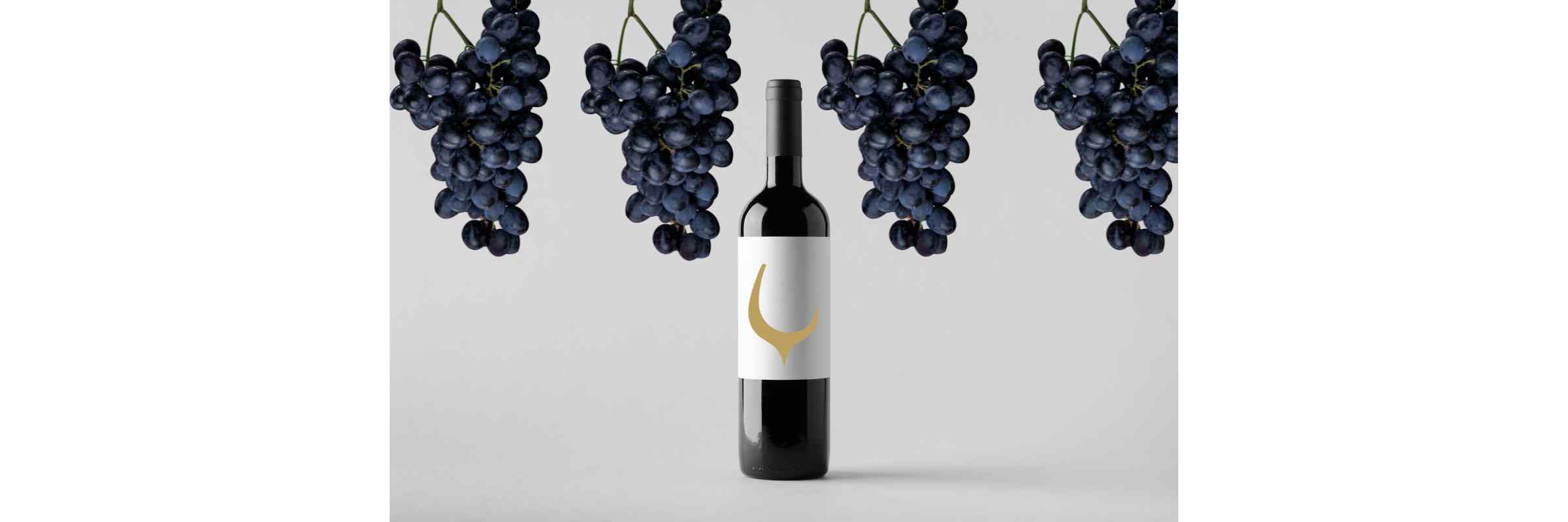 Grapes in 750ml Wine Bottle