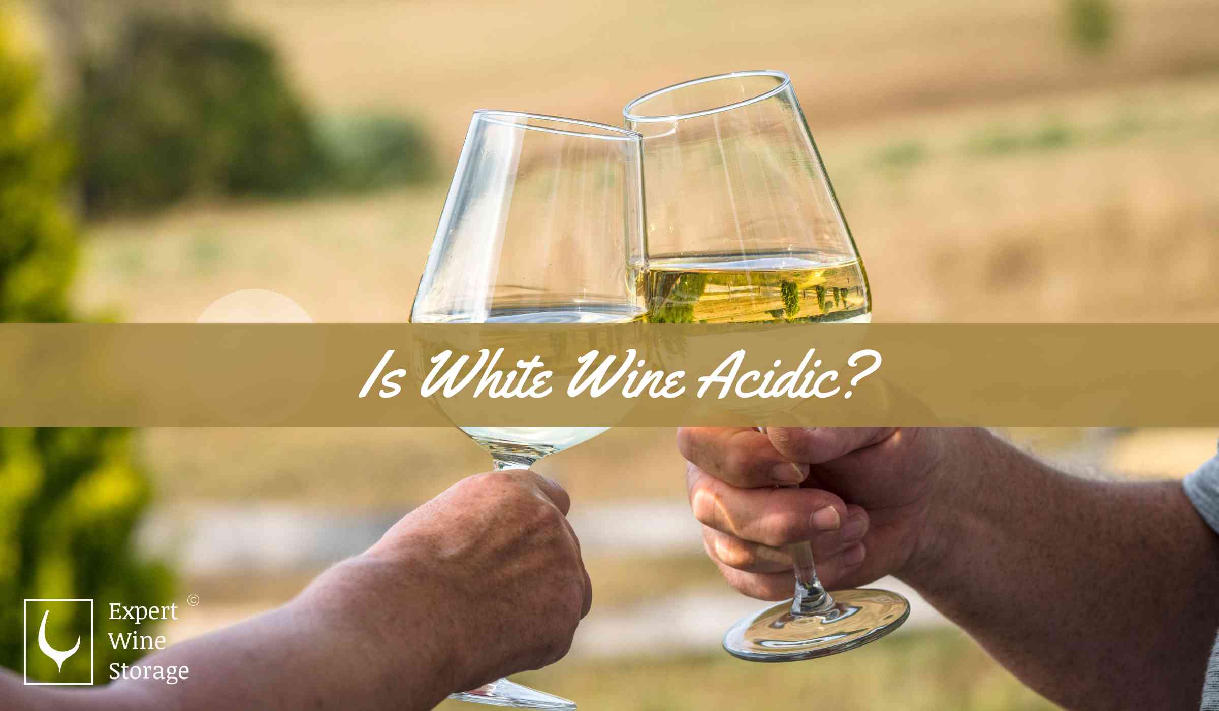 White Wine Acidity