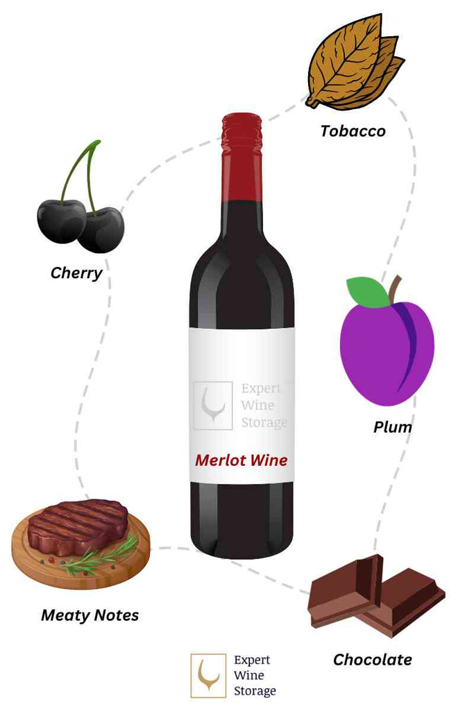 Merlot Wine Tasting Notes