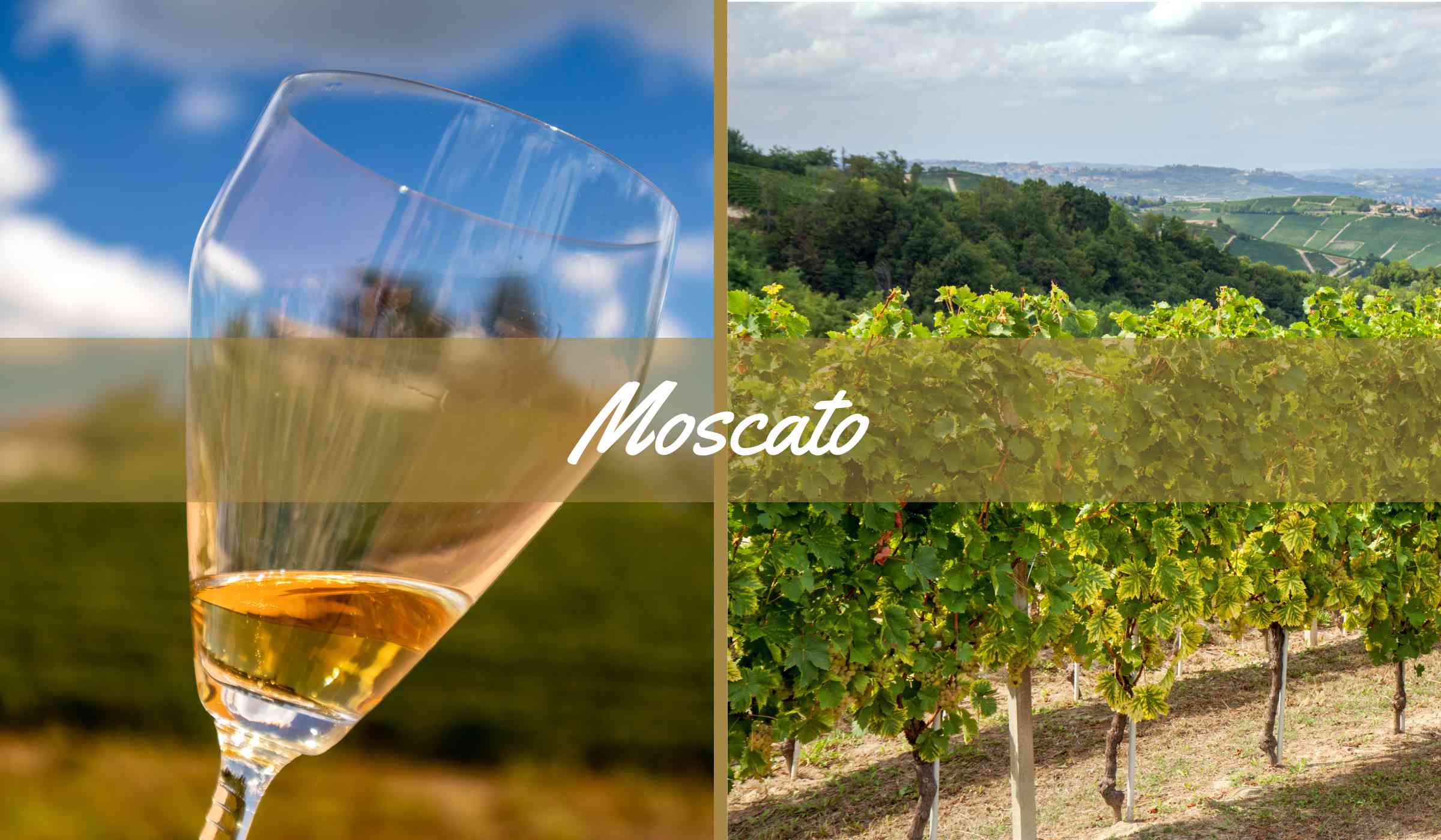 Moscato