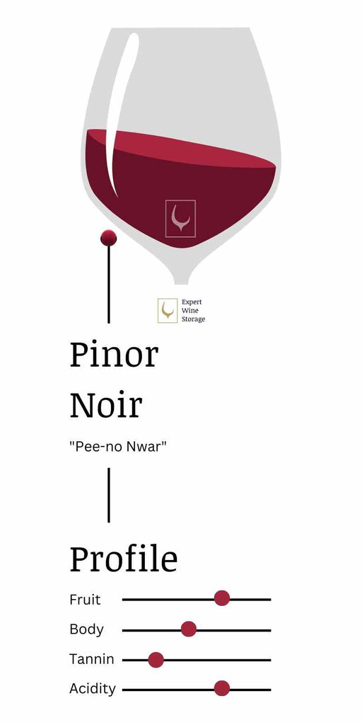 Pinot Noir Infographic