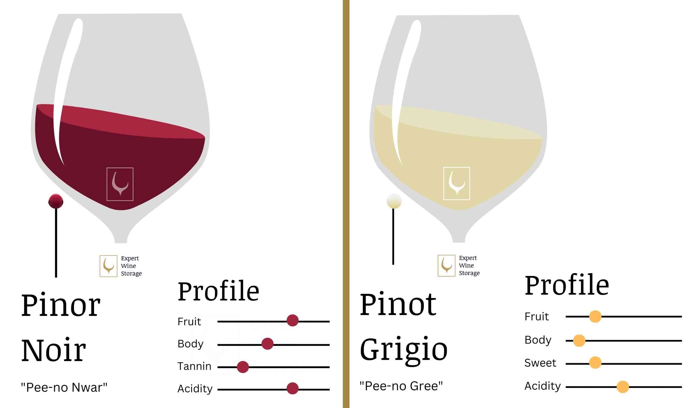 Infographic Taste Profile Charts for Pinot Grigio and Pinot Noir