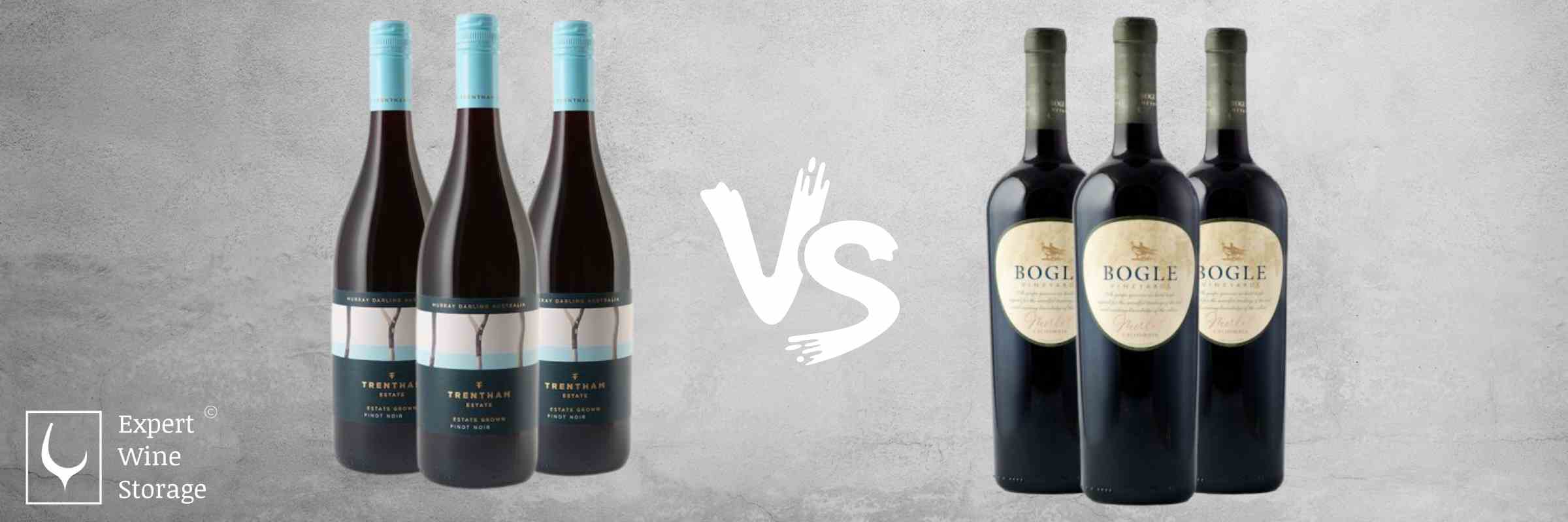 Pinot Noir vs Merlot Wine