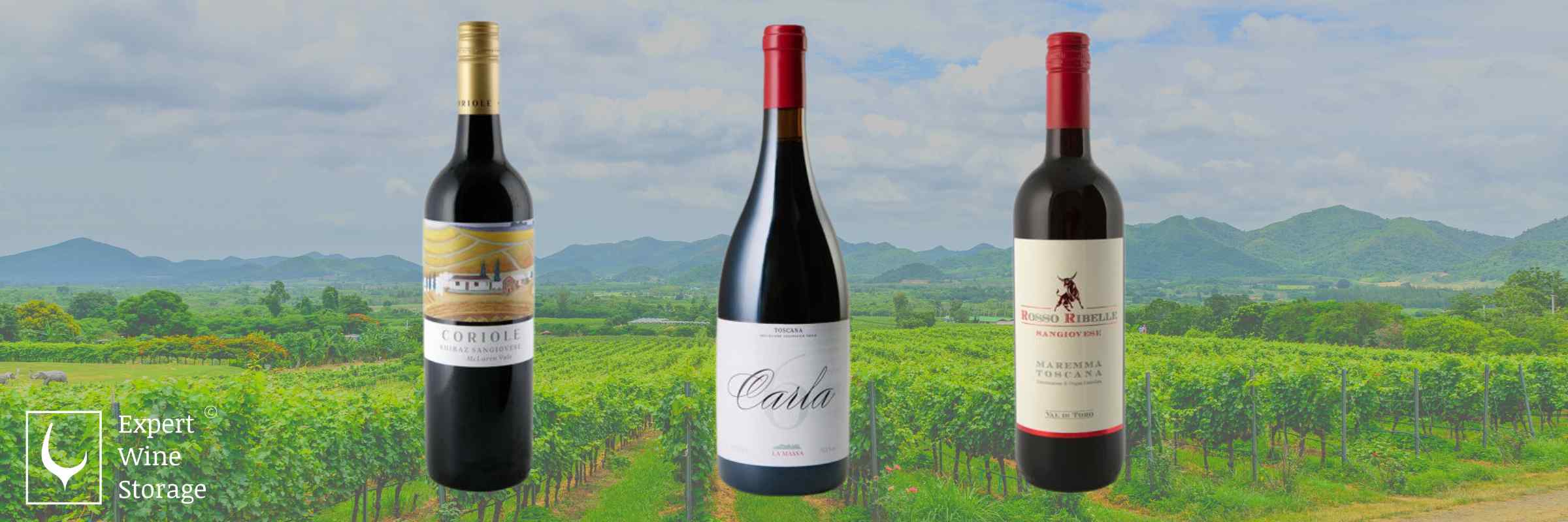 Varieties of Red Wine