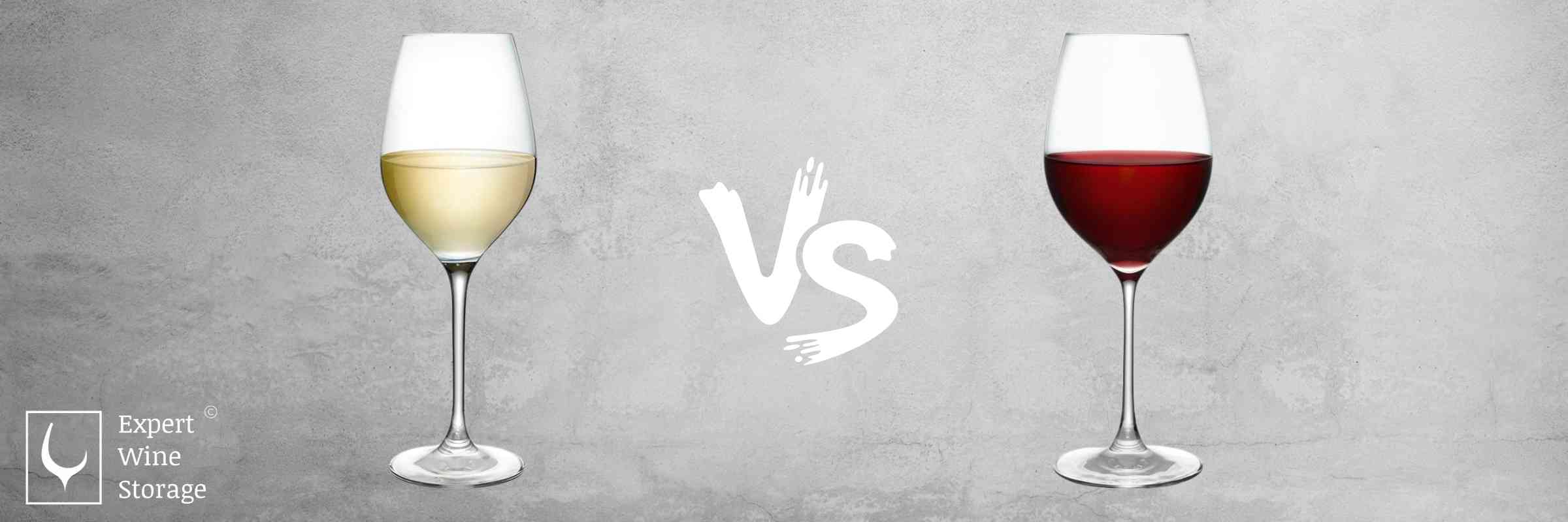 Red vs White Wine Glasses: Differences, Types of Glasses