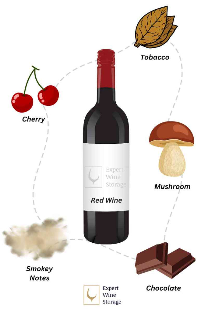 Tasting Notes of Red Wine