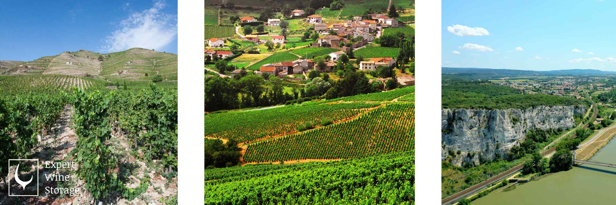 Rhone Wine Region France