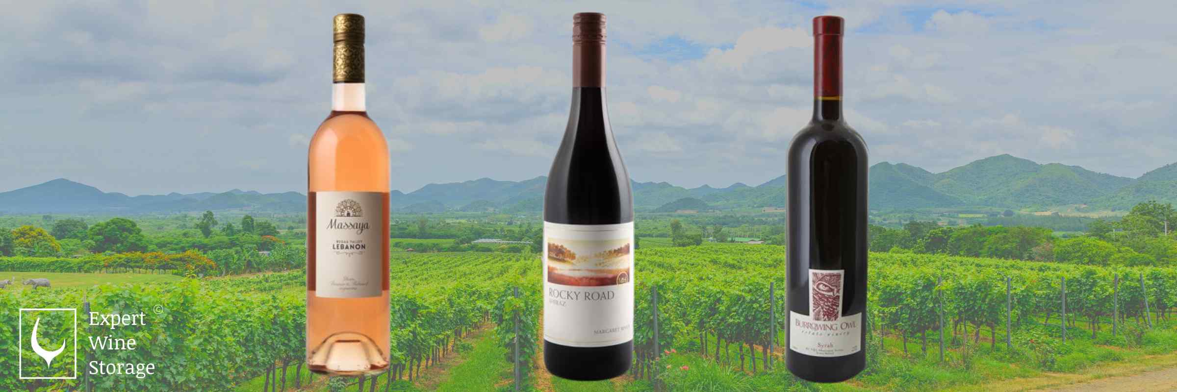 Shiraz Wines