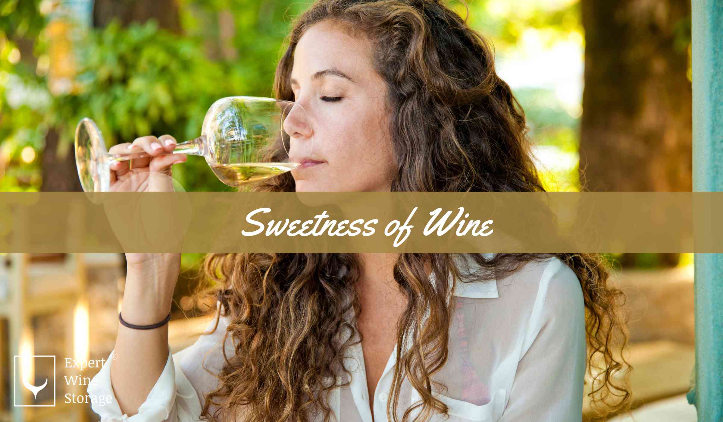 Tasting The Sweetness of Wine
