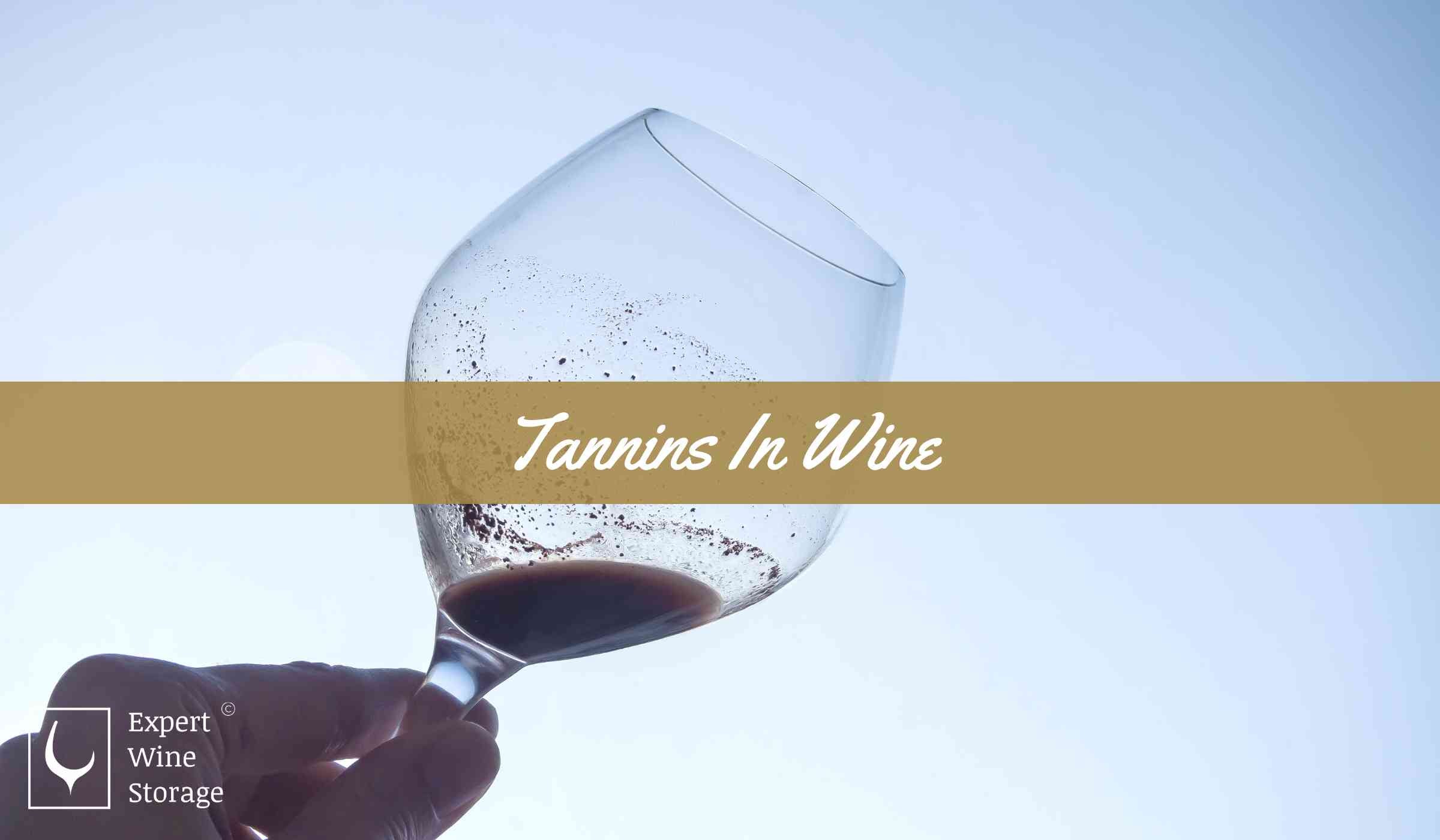 Tannins In Wine