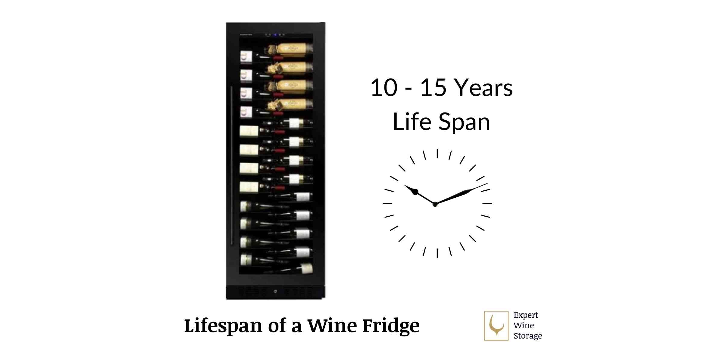 Wine Fridge Life Span Graphic
