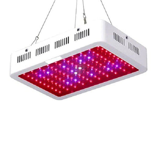 veg and bloom led lights