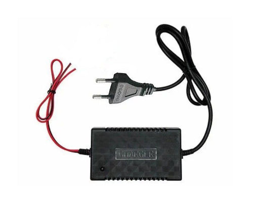 12V 15A Intelligent Charger - MRUL, Shop Today. Get it Tomorrow!