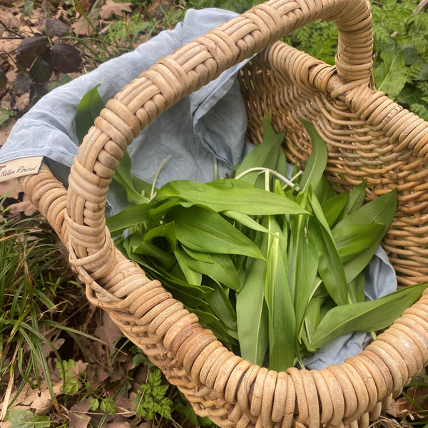 Wild Garlic Collected from Cornish Woodland