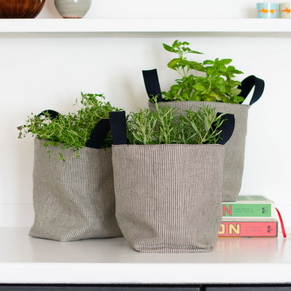 Three Herbs or Plants in Striped Linen Fabric Storage Pots