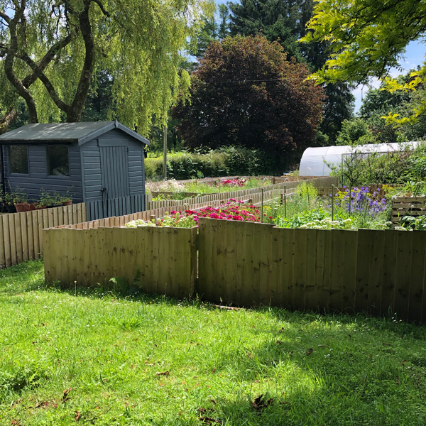 Flower Beds at Moorland Farm