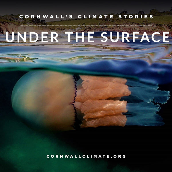 Documentary 'Under the Surface' looking at the effects of climate change on our marine environment