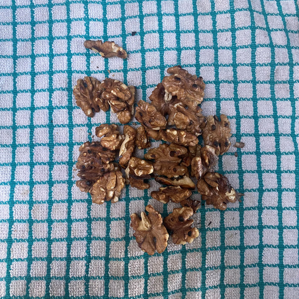 Walnuts Toasted - ready to have skins removed