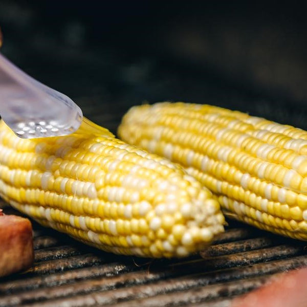 Sweet Corn on a Barbeque