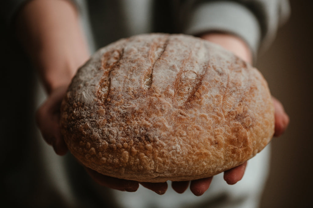 Sourdough Starter Recipe