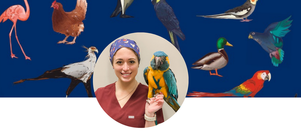 UPLIFT Desk - Dr. Rachel Ellerd (@exotic.pet.vet) makes full use