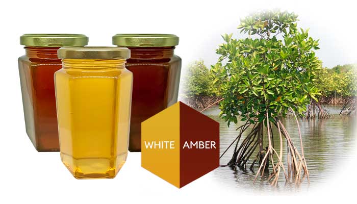 some mangroves, and a hexagon demonstrating the white and amber honey tone.