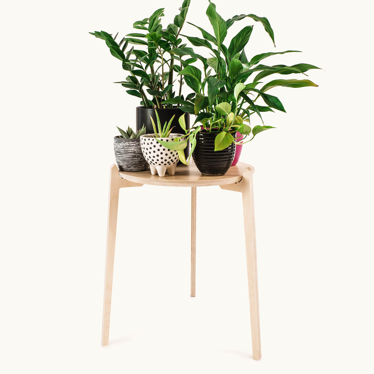 WFH Desk Plant stand