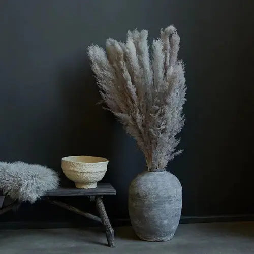 Abigail Ahern Pampas Grass Bunch