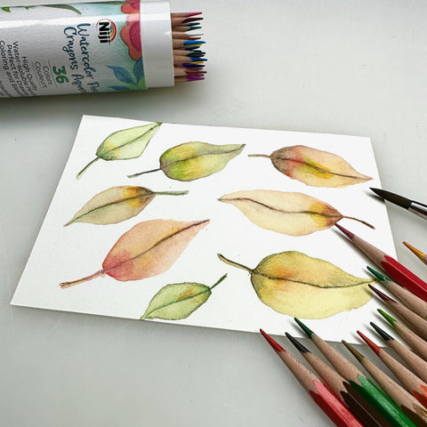 watercolor leaves with watercolor pencils laid around the painting