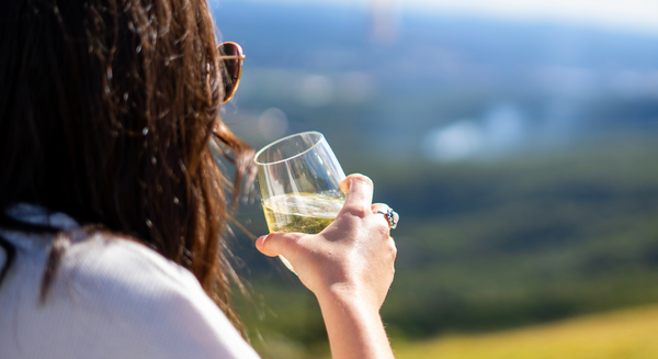 Plastic Stemless Wine Glasses