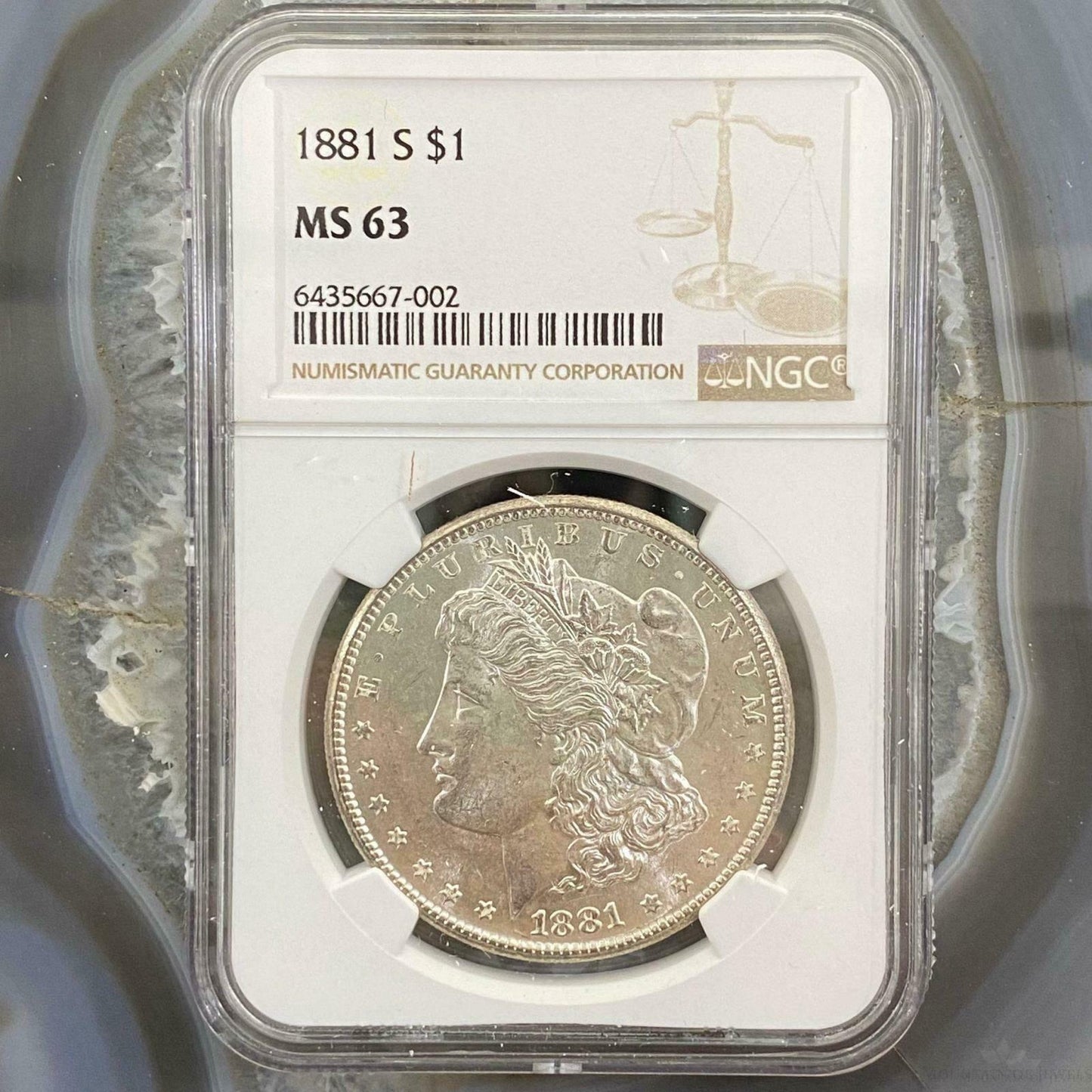1881-S US Morgan Dollar NGC MS63 90% Silver Freshly Slabbed BU GEM #002 - Mountain Of Jewels