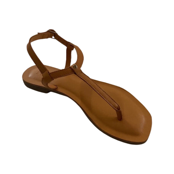 leather thong sandals Brown Andreoli, South Africa